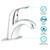Dura Faucet Classic Bathroom Faucet