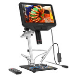 Endoscopes & Microscopes
