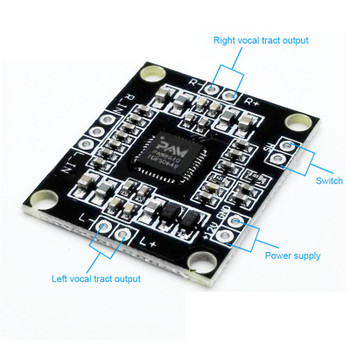 PAM8610 digital power amplifier board