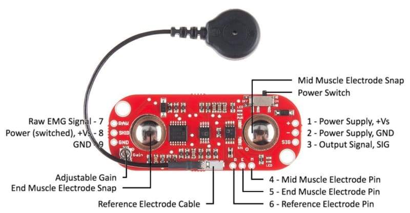 myoware-muscle-sensor-development-kit-14409-biometric-contains-lithium-sensors-sparkfun-cool-components-613-800x415.jpg myoware-muscle-sensor-development-kit-14409-biometric-contains-lithium-sensors-sparkfun-cool-components-613-800x415.jpg