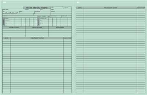 Feline Medical Records Green 8-1/2"x11"