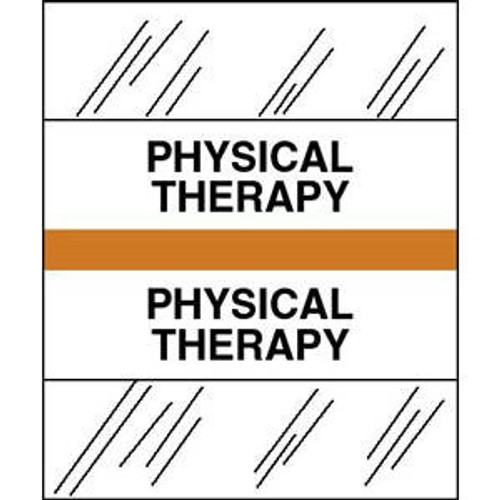 Tabbies Patient Chart Index Tabs/Labels - "Physical Therapy" -  Orange - 1/2" H x 1-1/4" W - 100/Pack