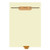 "Hospital" - Bottom Tab File Back Chart Divider - Brown Tab in Position 5 - Box of 50