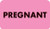 AmeriFile Labels - "Pregnant" - 1-1/2" x 7/8" - Fl. Pink - 250/Box - LCL2002H