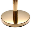 gold rope stanchion in use guiding a queue
