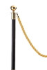 2x Black Gold Queue Barriers with Red Rope