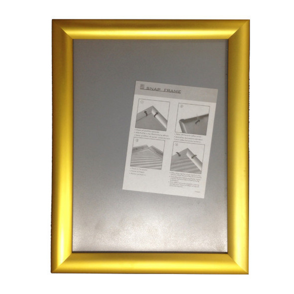 Gold snap frame with the included mounting screws and instruction sheet
