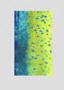Mahi Mahi / Dorado