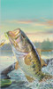 Bass