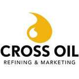 CrossTrans 206