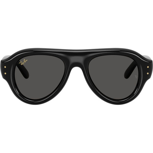Ray-Ban RB4925 Black Ultra Black Front