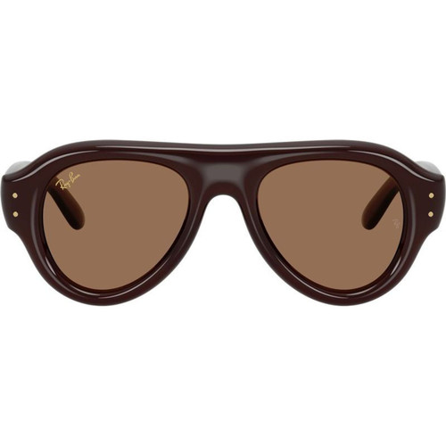 Ray-Ban RB4925 Transparent Brown Dark Brown Front