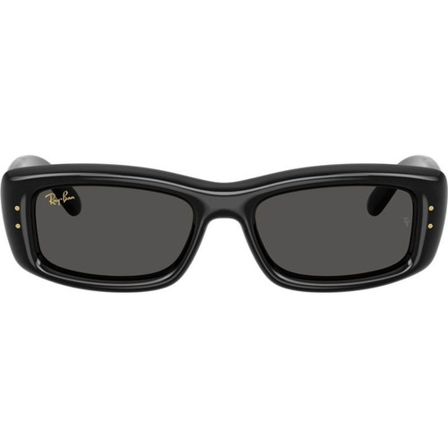 Ray-Ban RB4944 Black Ultra Black Front