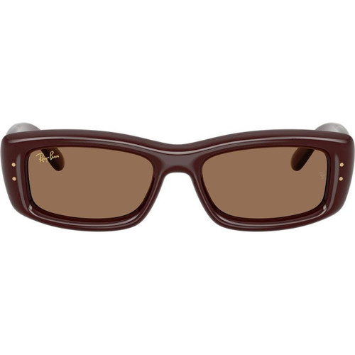 Ray-Ban RB4944 Transparent Brown Dark Brown Front