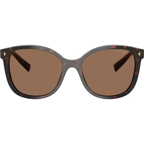 Prada PR22ZS Tartaruga Radica Brown Front