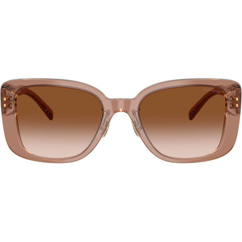 Coach HC8352 Transparent Brown Brown Gradient Front