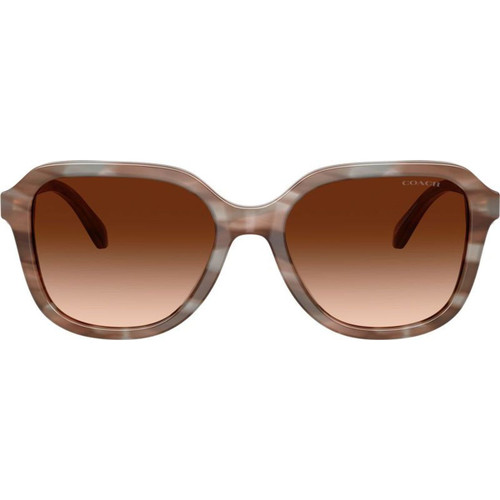 Coach HC84337F Striated Redwood Brown Gradient Front