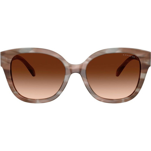 Coach HC8438U Striated Redwood Mape Brown Gradient Front