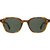 Garrett Leight Lachman Hazel Tortoise Semi-Flat Pure G15 Front