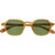 Garrett Leight Temescal Agave Tortoise Semi-Flat Green Front Folded