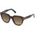 Haley FT0686 | Tort/Brown Gradient Lenses