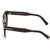 Haley FT0686 | Tort/Brown Gradient Lenses