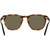 Polo Ralph Lauren PH4182U Havana Sunglasses Inner Frame Image