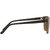 Polo Ralph Lauren PH4182U Havana Sunglasses Temple Image