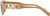 Michael Kors MK2192 Camel Sunglasses Temple Image