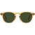 David Beckham DB 1114/S Yellow Havana Green Front