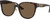 Versace VE4460D Havana Sunglasses Angle Image