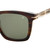 David Beckham DB 7000/S Brown Horn Green Temple
