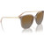 Vogue Eyewear VO5564S Transparent Brown Angle