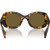 Prada PRA13S Honey Tort Dark Brown Inner Frame