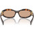 Miu Miu MU14ZS Honey Havana Dark Brown Inner Frame