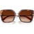 Dolce & Gabbana DG4474 Havana Brown Gradient Front Folded