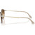 Persol PO3166S Transparent Brown Brown Gradient Temple
