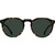 Raen Remmy 49 Brindle Tortoise Green Polarised Front