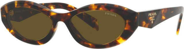 PR26ZS - Sage and Honey Tort/Dark Brown Lenses