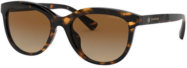 Coach 8285U - Dark Tort/Brown Gradient Polarised Lenses