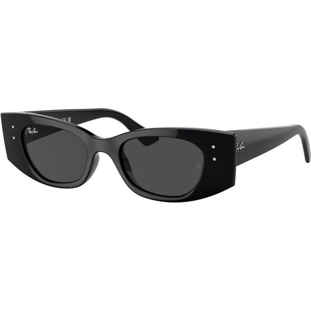 Ray-Ban Kat RB4427 - Black/Dark Grey Lenses