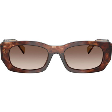 Caramel Tortoise/Brown Gradient Lenses
