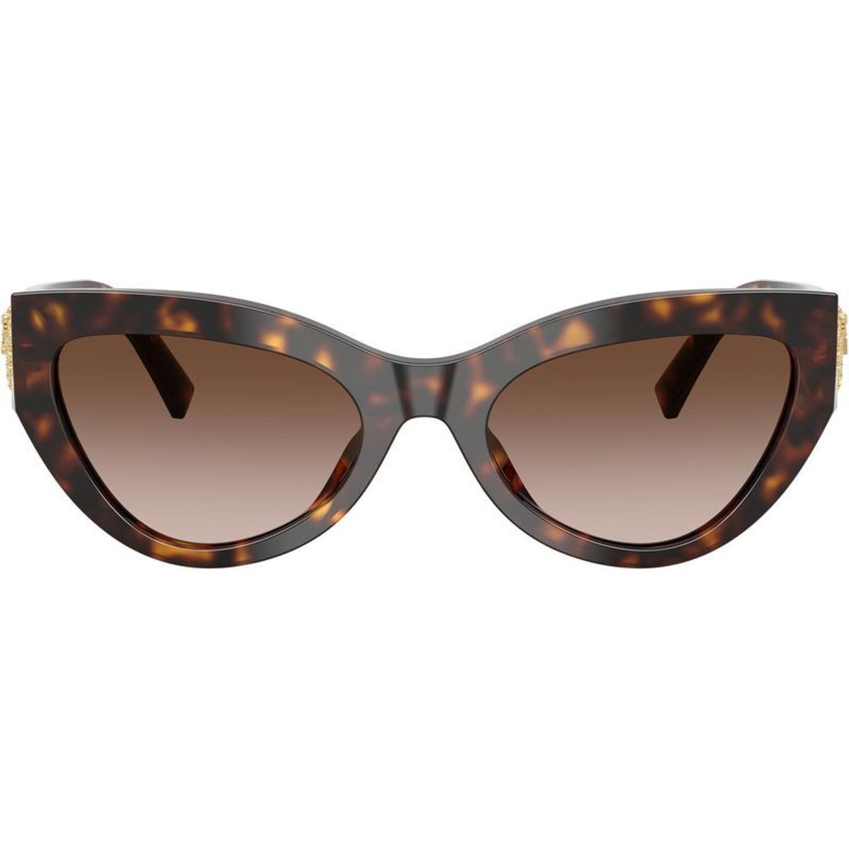 Dolce & Gabbana DG4536