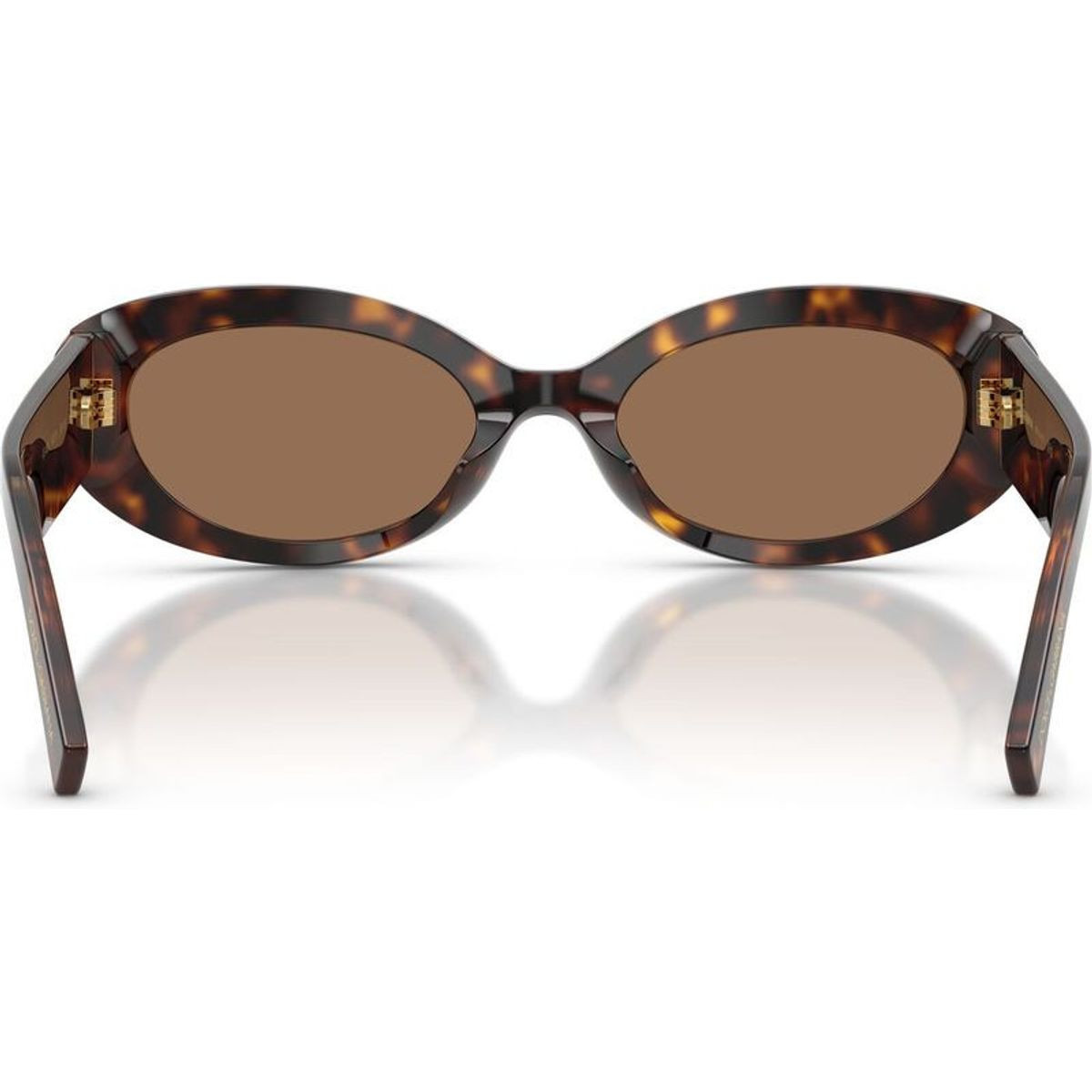 Dolce & Gabbana DG4537