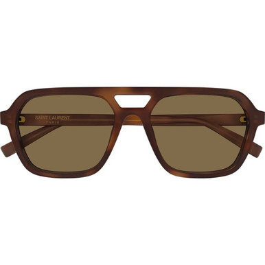Saint Laurent SL905 - Havana/Brown Lenses