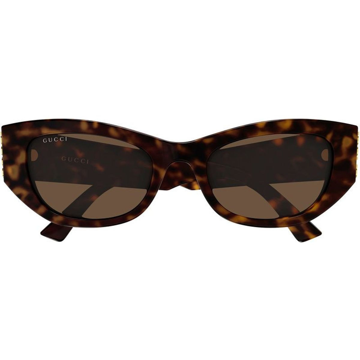 Shop the GUCCI GG2044SA Sunglasses Havana/Brown | Afterpay