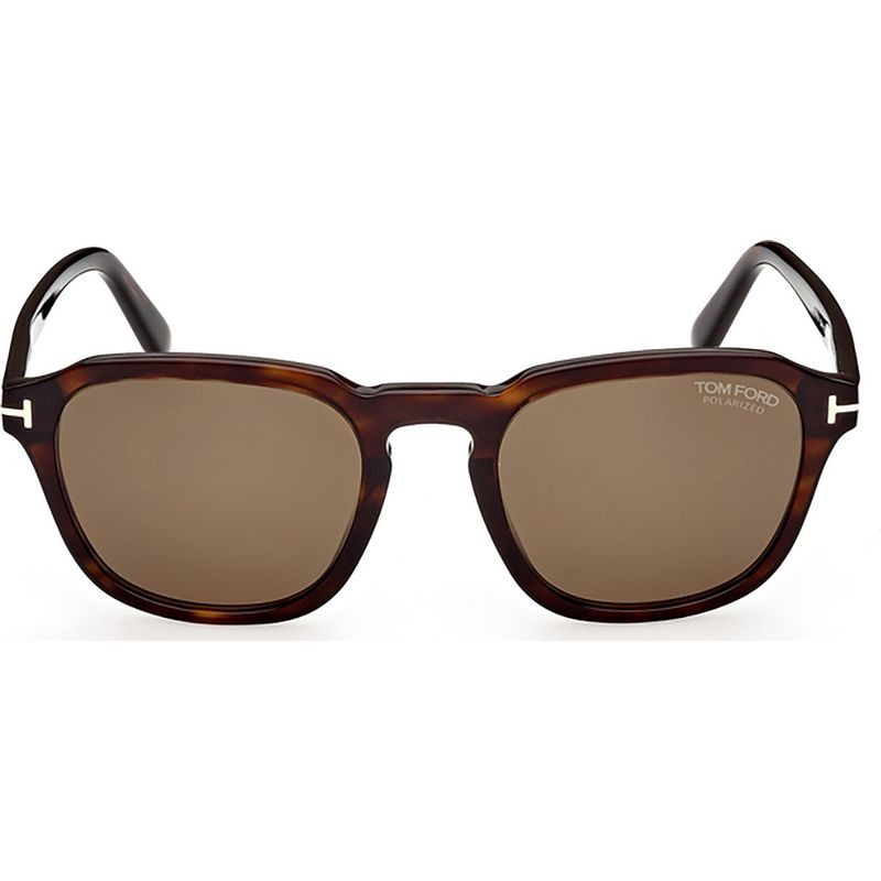 Tom FT0931 Havana/Brown | Polarised