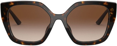 Prada PR 24XS - Havana/Brown Gradient Lenses