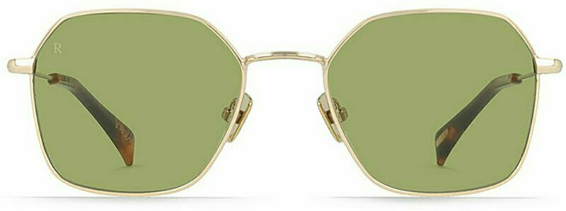 Raen Varlin Classic Gold and Safari Tortoise/Olive Lenses display picture 3