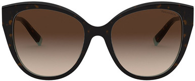 TF4166F - Havana and Blue/Brown Gradient Lenses